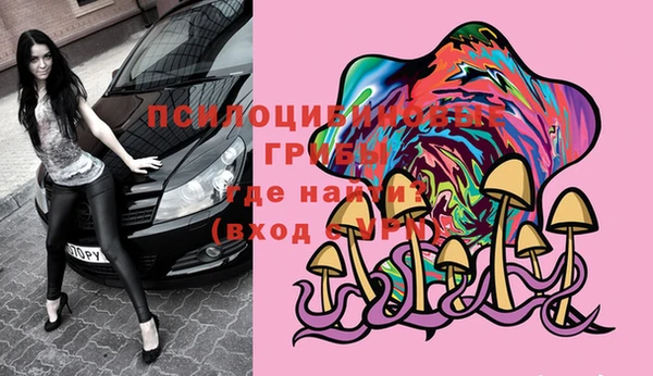 стафф Баксан