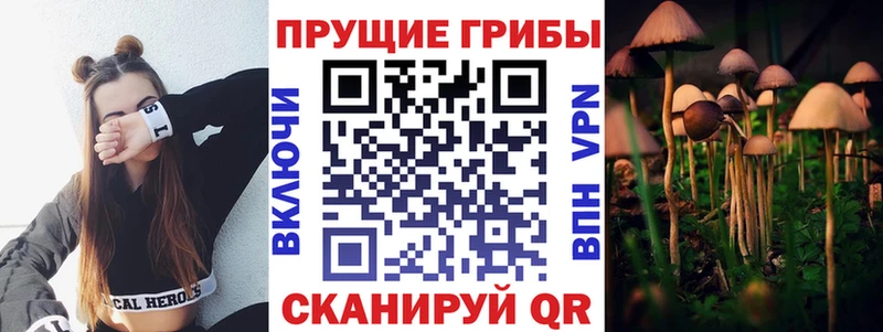 как найти закладки  KRAKEN ONION  сайты даркнета телеграм  Белый  Псилоцибиновые грибы GOLDEN TEACHER 